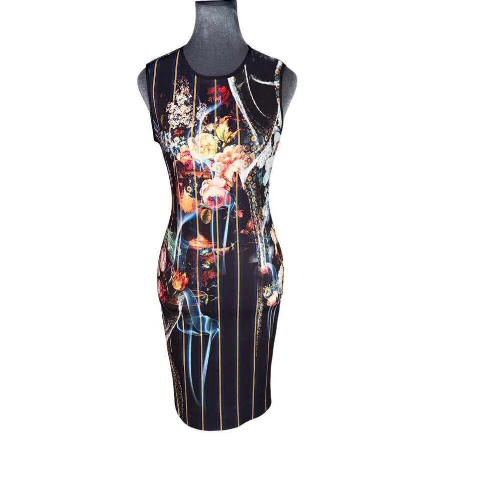 Clover Canyon Sleeveless Bodycon Floral & Stripe Dress Size S - Picture 1 of 7